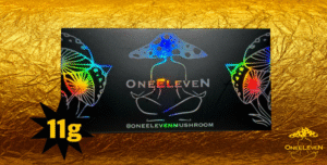 oneeleven mushroom bar